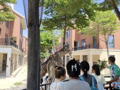-灵玲国际马戏城
