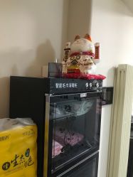 -苗塑堂减肥艾灸