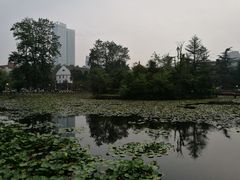 -四川大学(望江校区)