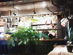 -啪啪嘶(长春大学店)