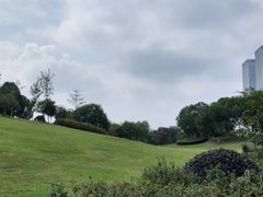 -滨湖塘西河公园