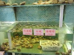水产区-东国海鲜火锅城(氹仔店)