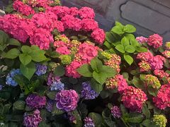 -回龙窝历史文化街区