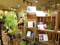 -花蒲甜品(海信广场店)