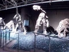 -世界恐龙谷景区