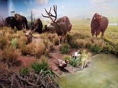 -陕西自然博物馆