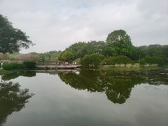 -东莞植物园