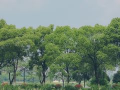 -金银湖国家城市湿地公园