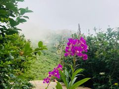 -白草畔自然风景区