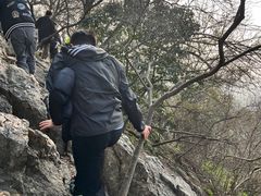 -紫金山山顶公园
