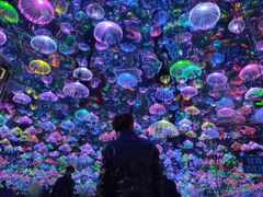 -天津梵高星空艺术馆(天河城旗舰店)