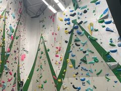 -绿壁虎攀岩基地(Tcar店)