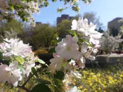 -元大都城垣遗址公园