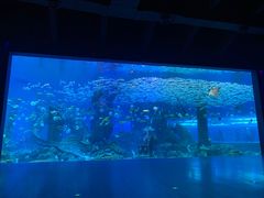 -哈尔滨波塞冬海底世界