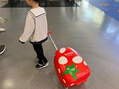 -学知乐教育·幼小衔接·小学科辅导(浦东外高桥森兰中心)