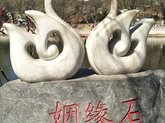 -辛玛王国游乐园