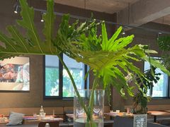 -一坐一忘云南菜(三里屯店)