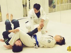 -勇气斑马·巴西柔术&跆拳道(浦东三林店)