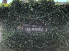 -The Grounds of Alexandria