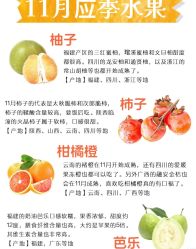 -雅曼妮spa美容养生