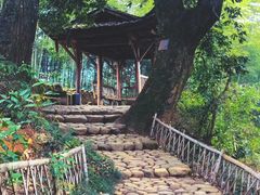 -杨家堂村