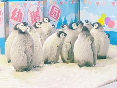 -珠海长隆海洋王国
