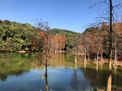 -广州市白云山风景名胜区
