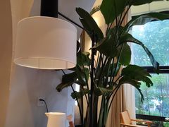 -长春藤咖啡(北园店)