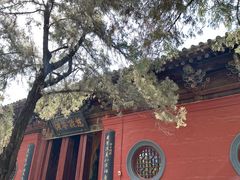 -洛阳白马寺