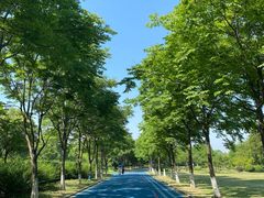-贡湖湾湿地公园