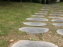 -成飞公园