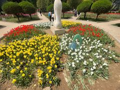 -石家庄市植物园