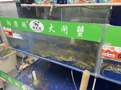 -阳澄湖大闸蟹·琼灵阁牌品牌连锁(吴中总店)