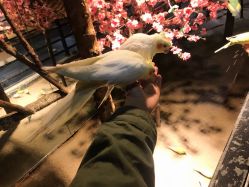 -酷嗒动物文化乐园(cutezoo西溪乐天城店)