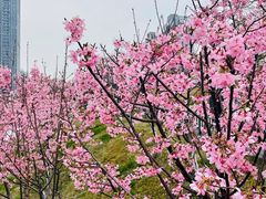 -艾溪湖湿地公园