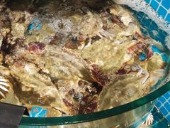 -正亮农家院·海鲜本地菜