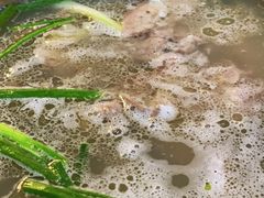 -老石黑山羊毛驴肉火锅(金凯广场店)