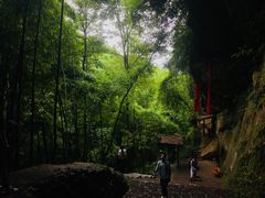 -川西竹海景区