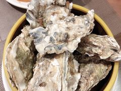 -兴芮温泉度假区