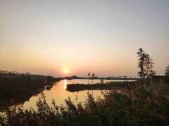 -芒洲湿地公园