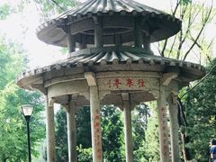 -玲珑塔公园
