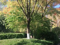 -春晖园度假酒店温泉