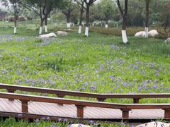 -汉长安城未央宫国家考古遗址公园