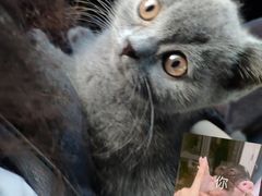 -福州肆爪动物医院
