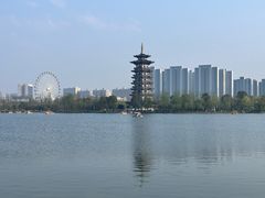 -洋湖国家湿地公园