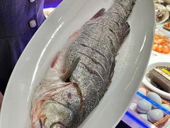 -渔娘渔家丹东海鲜(东直门店)
