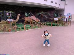 -陕西自然博物馆