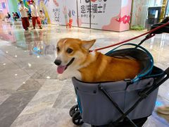 -杭州来福士中心