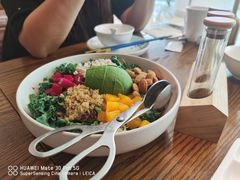 芥子酱羽翼甘蓝沙拉-小大董·烤鸭(王府井apm店)