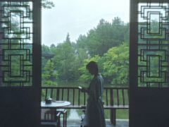 -八大山人梅湖景区